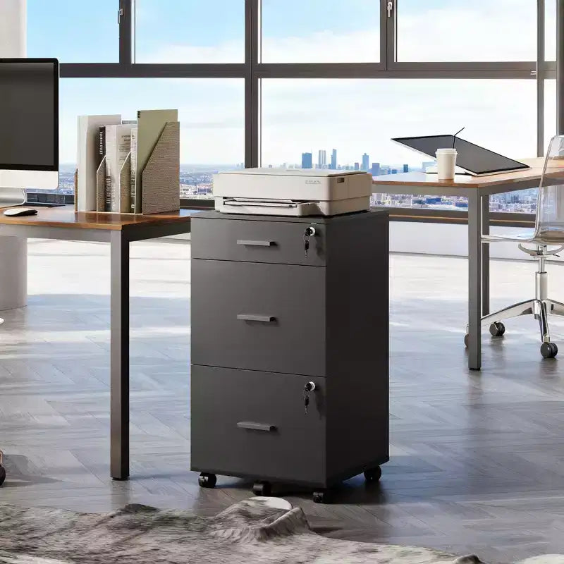 DEXYLLO Meuble Classeur à 3 Tiroirs sur Roulettes en Bois pour Bureau à Domicile avec Serrure, pour Documents de Format Lettre/A4