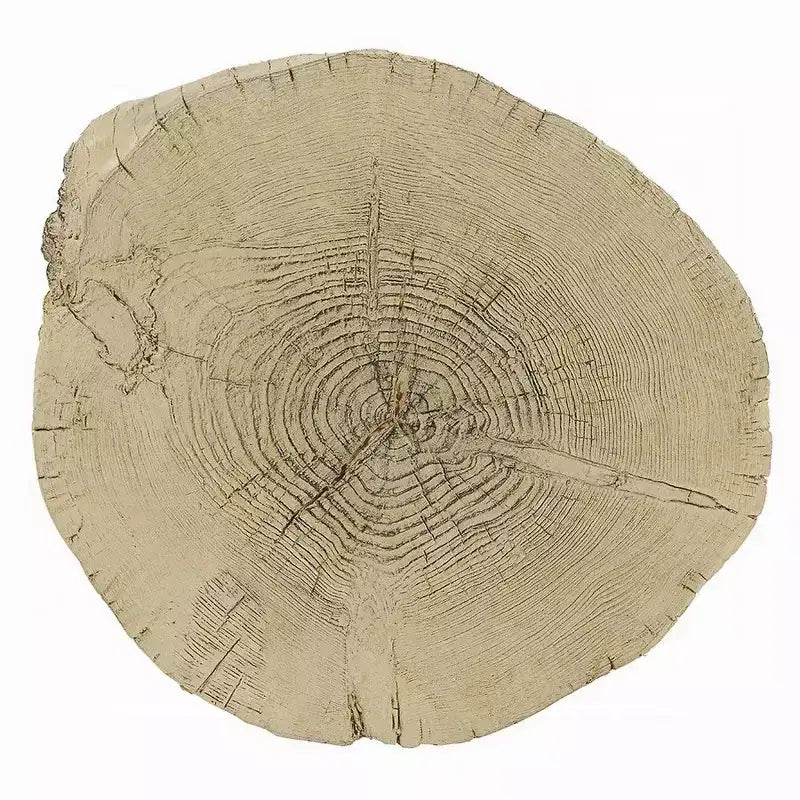 Table d'appoint Royal Hampton, ciment marron clair naturel, forme de bûche, 35,5 cm