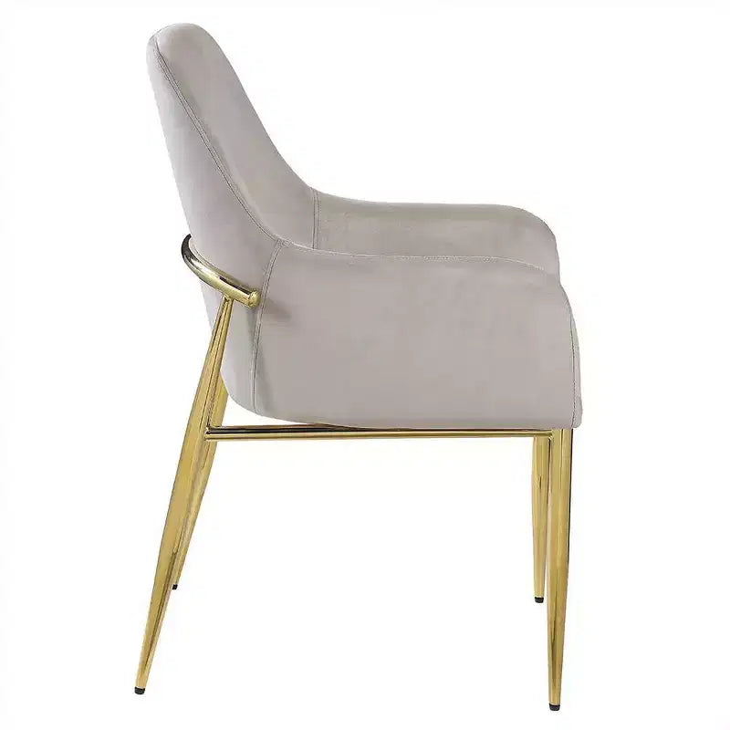 Lot de 2 chaises d'appoint Barnard 56 cm : Dossier haut rembourré, Structure en métal - Acme Furniture