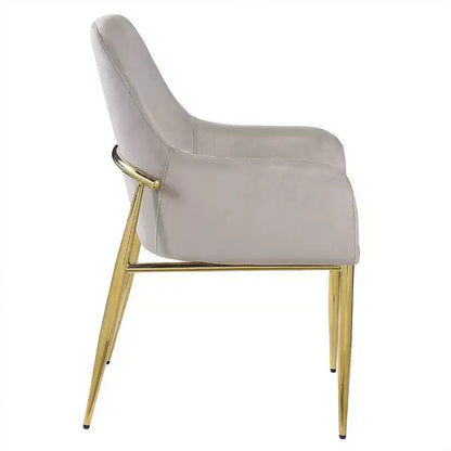 Lot de 2 chaises d'appoint Barnard 56 cm : Dossier haut rembourré, Structure en métal - Acme Furniture